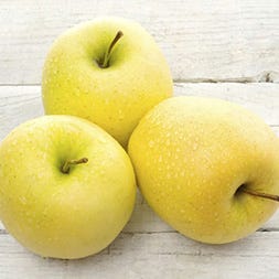 Golden Supreme Apples