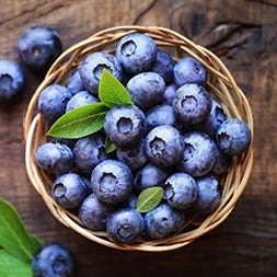 Mountain Blueberries